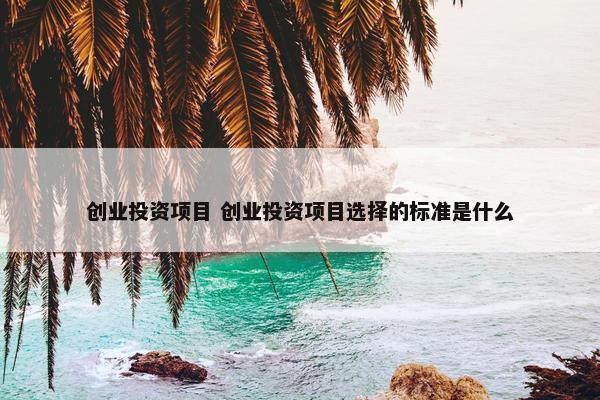 创业投资项目 创业投资项目选择的标准是什么