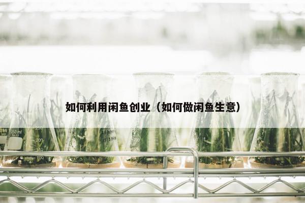 如何利用闲鱼创业（如何做闲鱼生意）