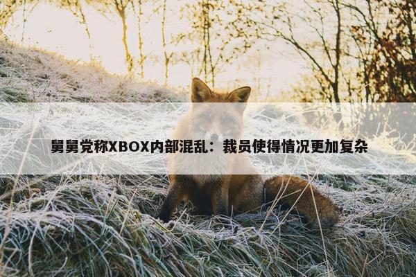 舅舅党称XBOX内部混乱：裁员使得情况更加复杂