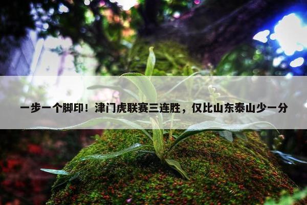 一步一个脚印！津门虎联赛三连胜，仅比山东泰山少一分