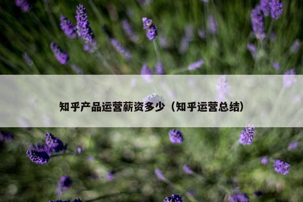 知乎产品运营薪资多少（知乎运营总结）