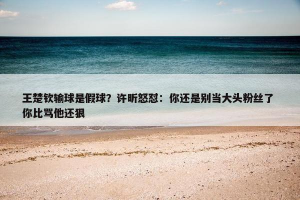 王楚钦输球是假球？许昕怒怼：你还是别当大头粉丝了 你比骂他还狠