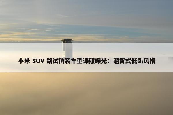 小米 SUV 路试伪装车型谍照曝光：溜背式低趴风格