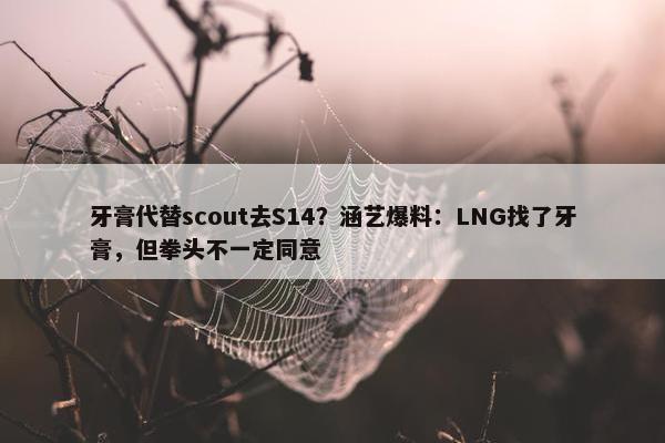 牙膏代替scout去S14？涵艺爆料：LNG找了牙膏，但拳头不一定同意