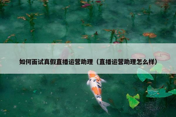 如何面试真假直播运营助理（直播运营助理怎么样）