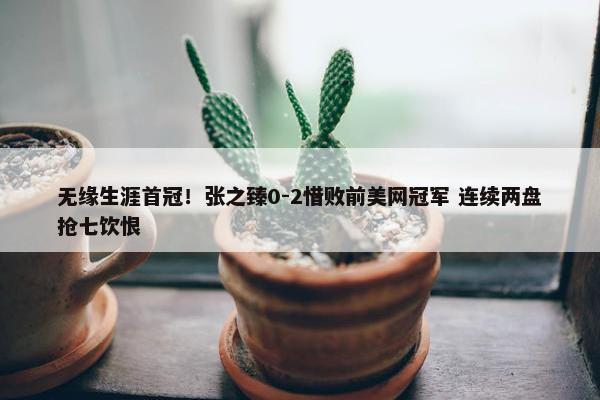 无缘生涯首冠！张之臻0-2惜败前美网冠军 连续两盘抢七饮恨