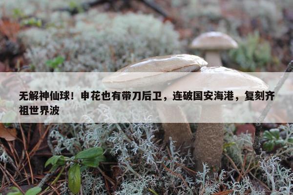 无解神仙球！申花也有带刀后卫，连破国安海港，复刻齐祖世界波