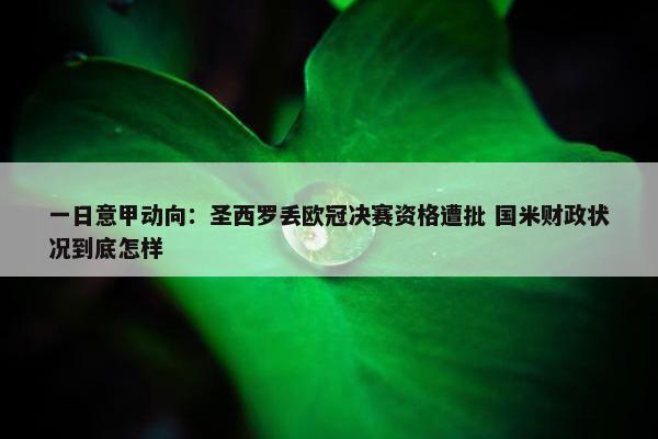 一日意甲动向：圣西罗丢欧冠决赛资格遭批 国米财政状况到底怎样