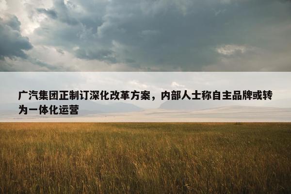 广汽集团正制订深化改革方案，内部人士称自主品牌或转为一体化运营