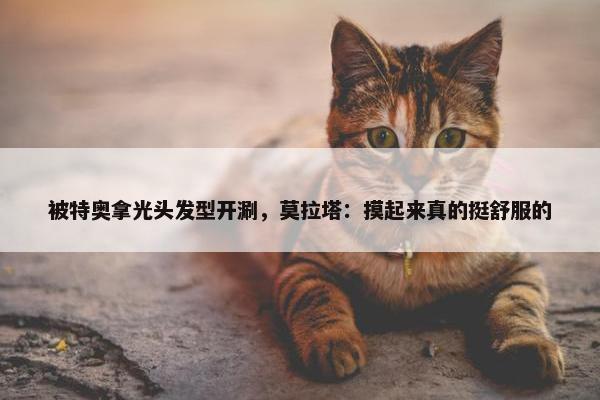 被特奥拿光头发型开涮，莫拉塔：摸起来真的挺舒服的