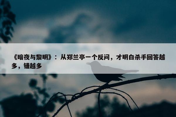 《暗夜与黎明》：从郑兰亭一个反问，才明白杀手回答越多，错越多