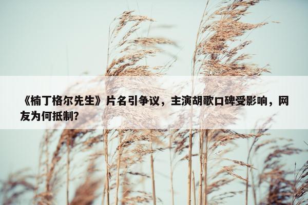 《楠丁格尔先生》片名引争议，主演胡歌口碑受影响，网友为何抵制？