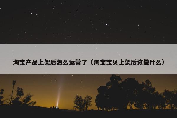 淘宝产品上架后怎么运营了（淘宝宝贝上架后该做什么）