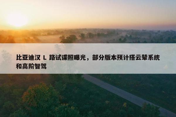 比亚迪汉 L 路试谍照曝光，部分版本预计搭云辇系统和高阶智驾