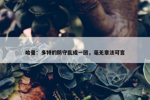 哈曼：多特的防守乱成一团，毫无章法可言