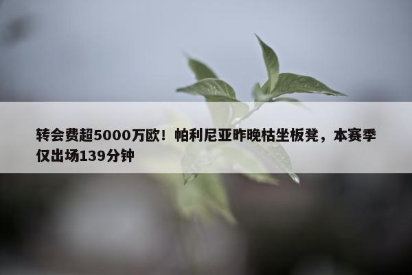 转会费超5000万欧！帕利尼亚昨晚枯坐板凳，本赛季仅出场139分钟