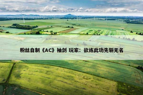 粉丝自制《AC》袖剑 玩家：欲练此功先斩无名