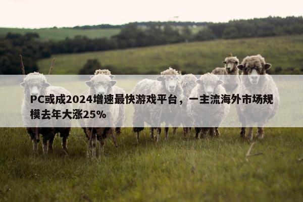 PC或成2024增速最快游戏平台，一主流海外市场规模去年大涨25%