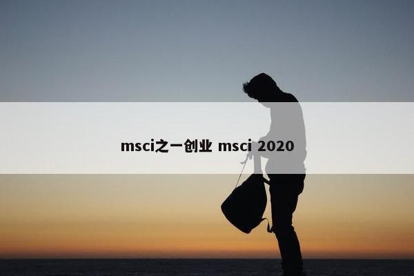 msci之一创业 msci 2020