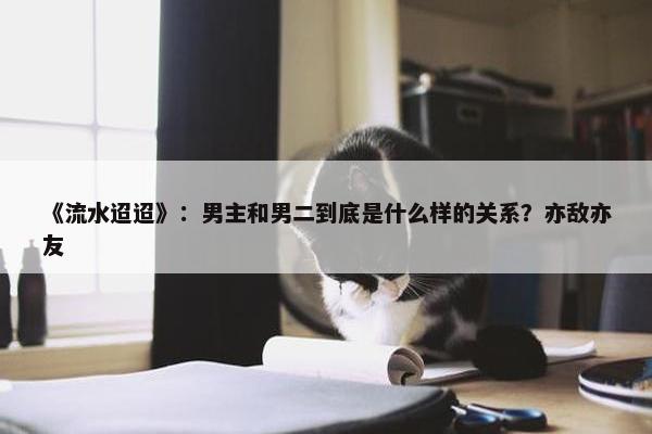 《流水迢迢》：男主和男二到底是什么样的关系？亦敌亦友