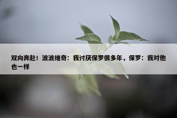 双向奔赴！波波维奇：我讨厌保罗很多年，保罗：我对他也一样