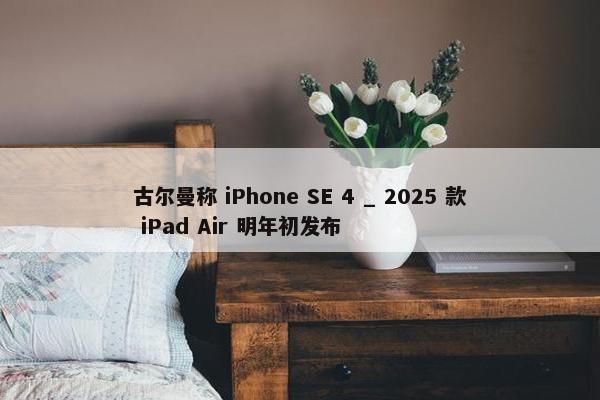 古尔曼称 iPhone SE 4 _ 2025 款 iPad Air 明年初发布