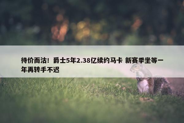 待价而沽！爵士5年2.38亿续约马卡 新赛季坐等一年再转手不迟