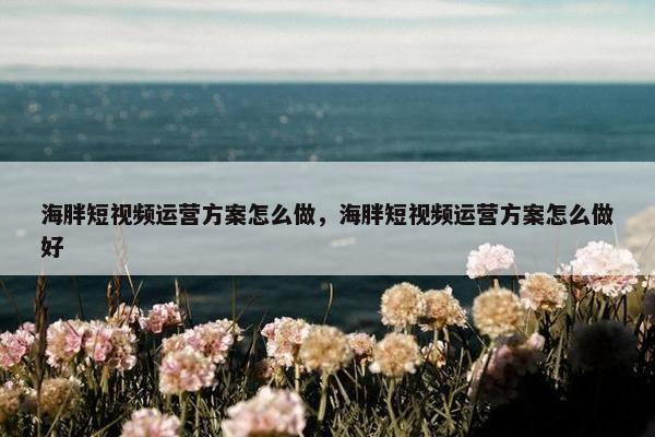 海胖短视频运营方案怎么做，海胖短视频运营方案怎么做好