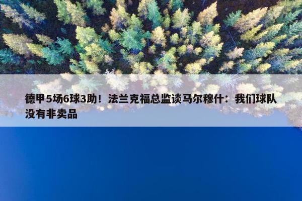 德甲5场6球3助！法兰克福总监谈马尔穆什：我们球队没有非卖品