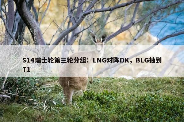 S14瑞士轮第三轮分组：LNG对阵DK，BLG抽到T1