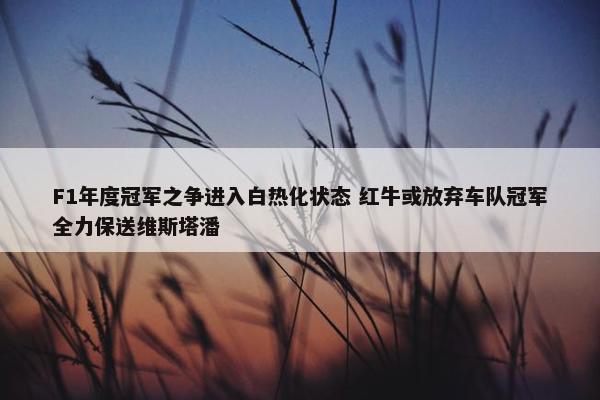 F1年度冠军之争进入白热化状态 红牛或放弃车队冠军全力保送维斯塔潘