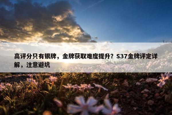 高评分只有银牌，金牌获取难度提升？S37金牌评定详解，注意避坑