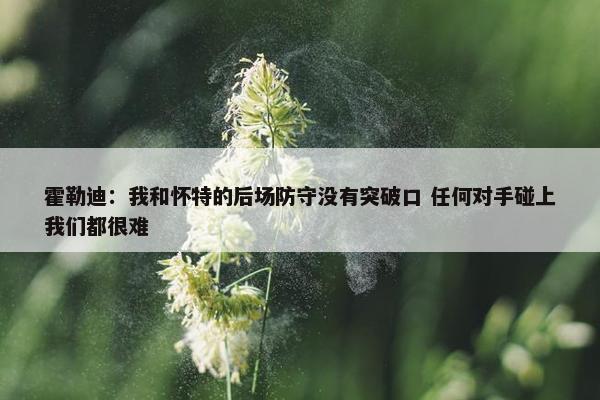 霍勒迪：我和怀特的后场防守没有突破口 任何对手碰上我们都很难