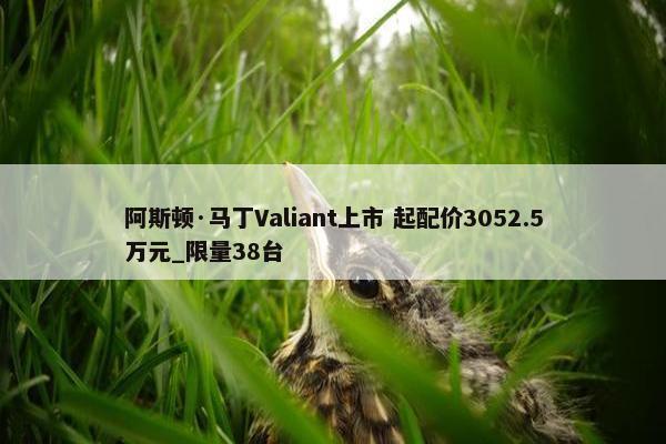 阿斯顿·马丁Valiant上市 起配价3052.5万元_限量38台