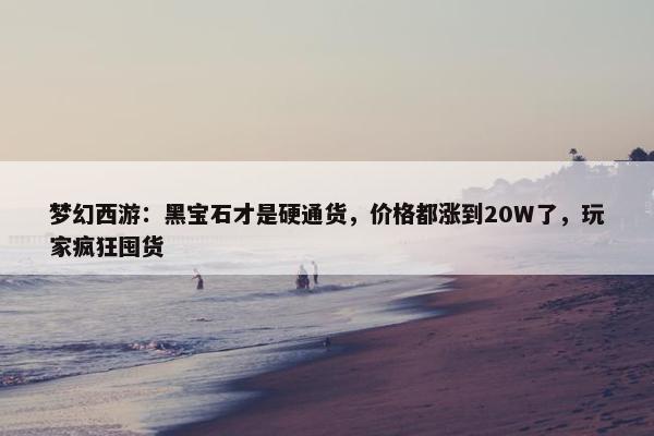 梦幻西游：黑宝石才是硬通货，价格都涨到20W了，玩家疯狂囤货