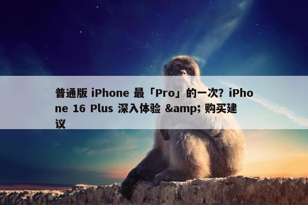 普通版 iPhone 最「Pro」的一次？iPhone 16 Plus 深入体验 & 购买建议