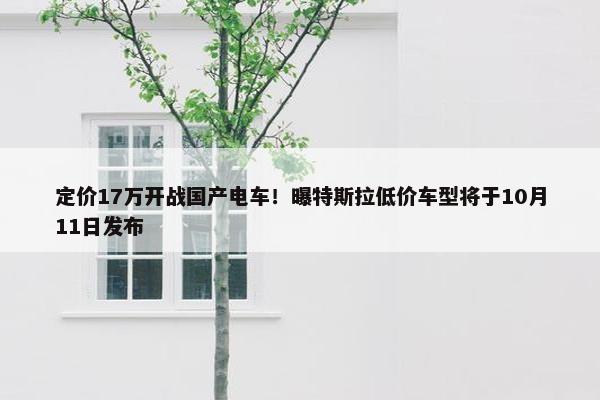 定价17万开战国产电车！曝特斯拉低价车型将于10月11日发布