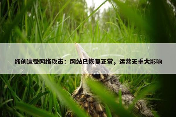 纬创遭受网络攻击：网站已恢复正常，运营无重大影响