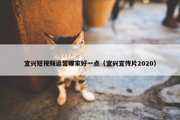 宜兴短视频运营哪家好一点（宜兴宣传片2020）