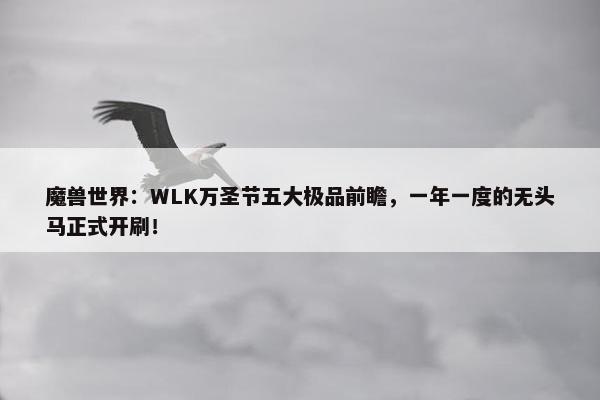 魔兽世界：WLK万圣节五大极品前瞻，一年一度的无头马正式开刷！