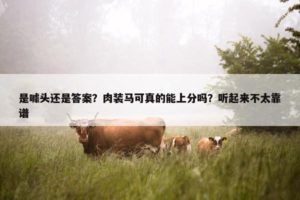 是噱头还是答案？肉装马可真的能上分吗？听起来不太靠谱