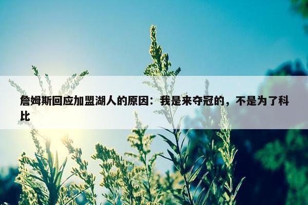 詹姆斯回应加盟湖人的原因：我是来夺冠的，不是为了科比