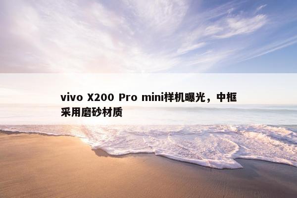 vivo X200 Pro mini样机曝光，中框采用磨砂材质