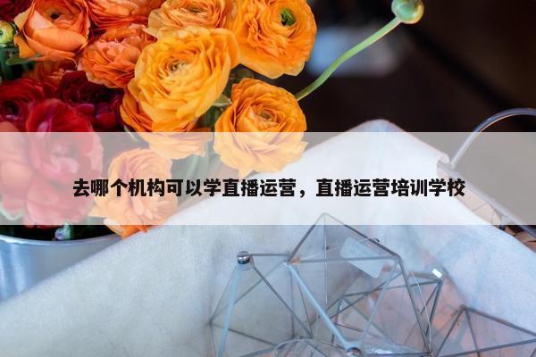 去哪个机构可以学直播运营，直播运营培训学校