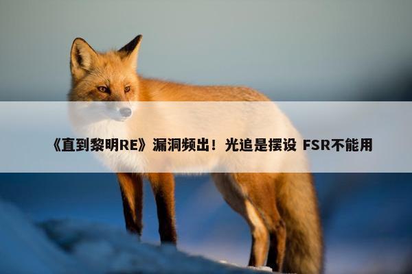 《直到黎明RE》漏洞频出！光追是摆设 FSR不能用