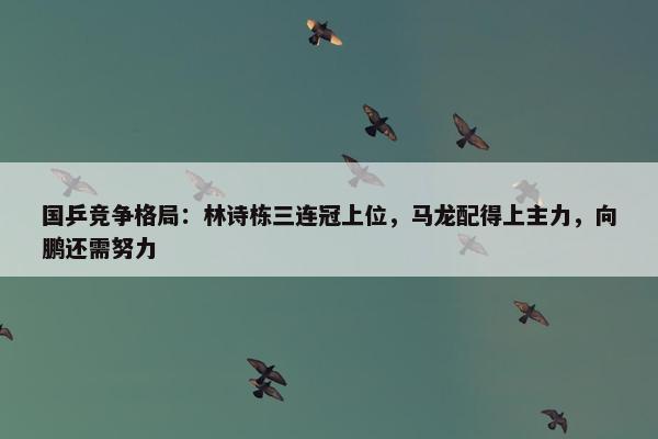 国乒竞争格局：林诗栋三连冠上位，马龙配得上主力，向鹏还需努力