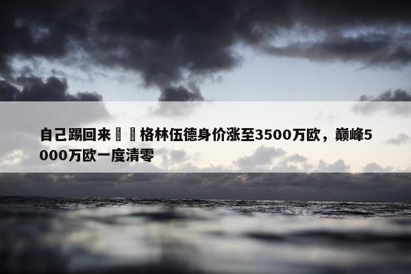 自己踢回来❗️格林伍德身价涨至3500万欧，巅峰5000万欧一度清零