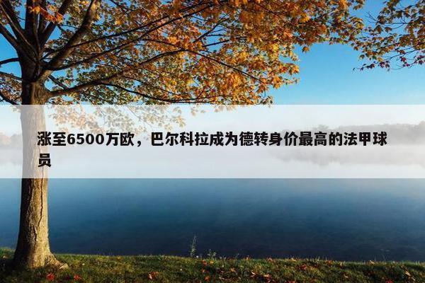 涨至6500万欧，巴尔科拉成为德转身价最高的法甲球员