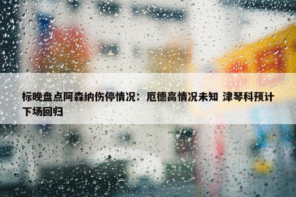 标晚盘点阿森纳伤停情况：厄德高情况未知 津琴科预计下场回归