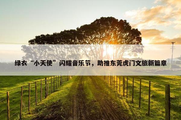 绿衣“小天使”闪耀音乐节，助推东莞虎门文旅新篇章